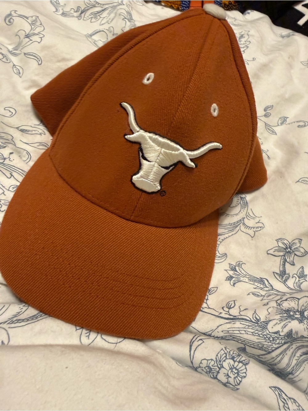 Embroidered Longhorn Logo Rust Orange Baseball Cap